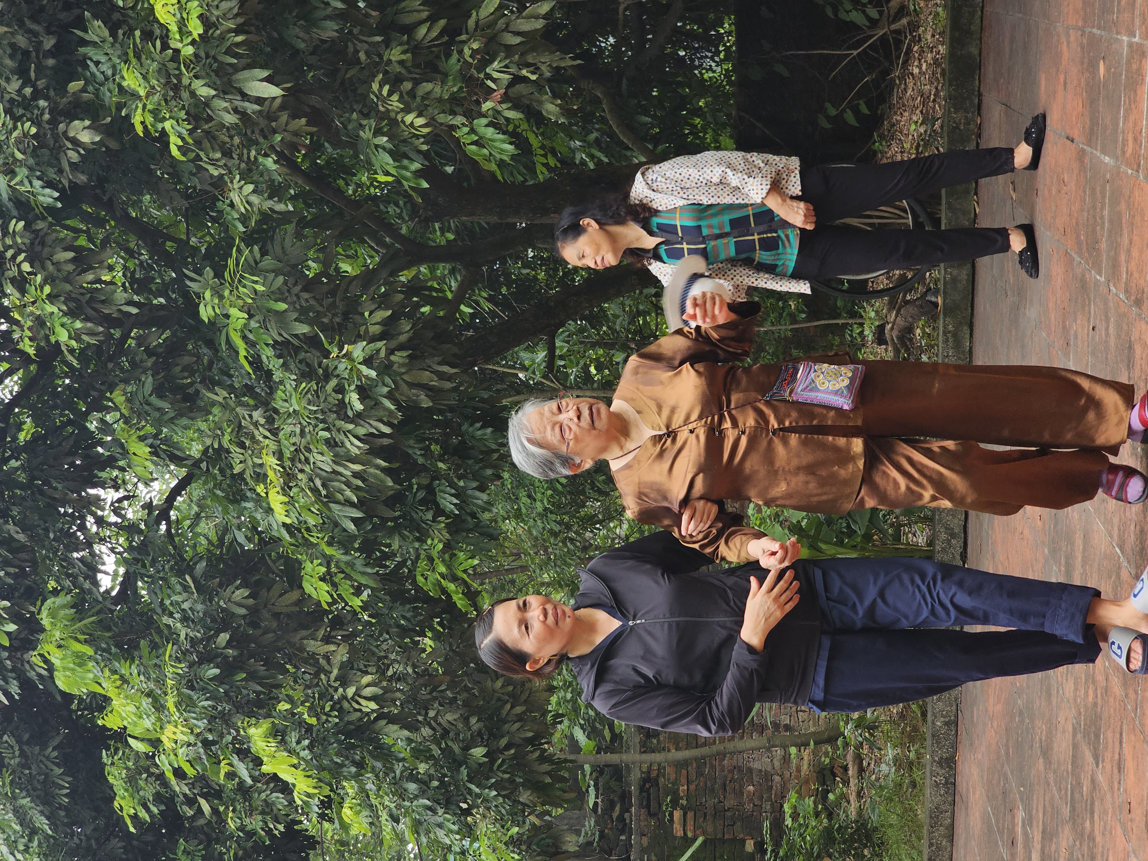 nguoi cao tuoi di tham den chua con cung trung tam duong lao dai yen