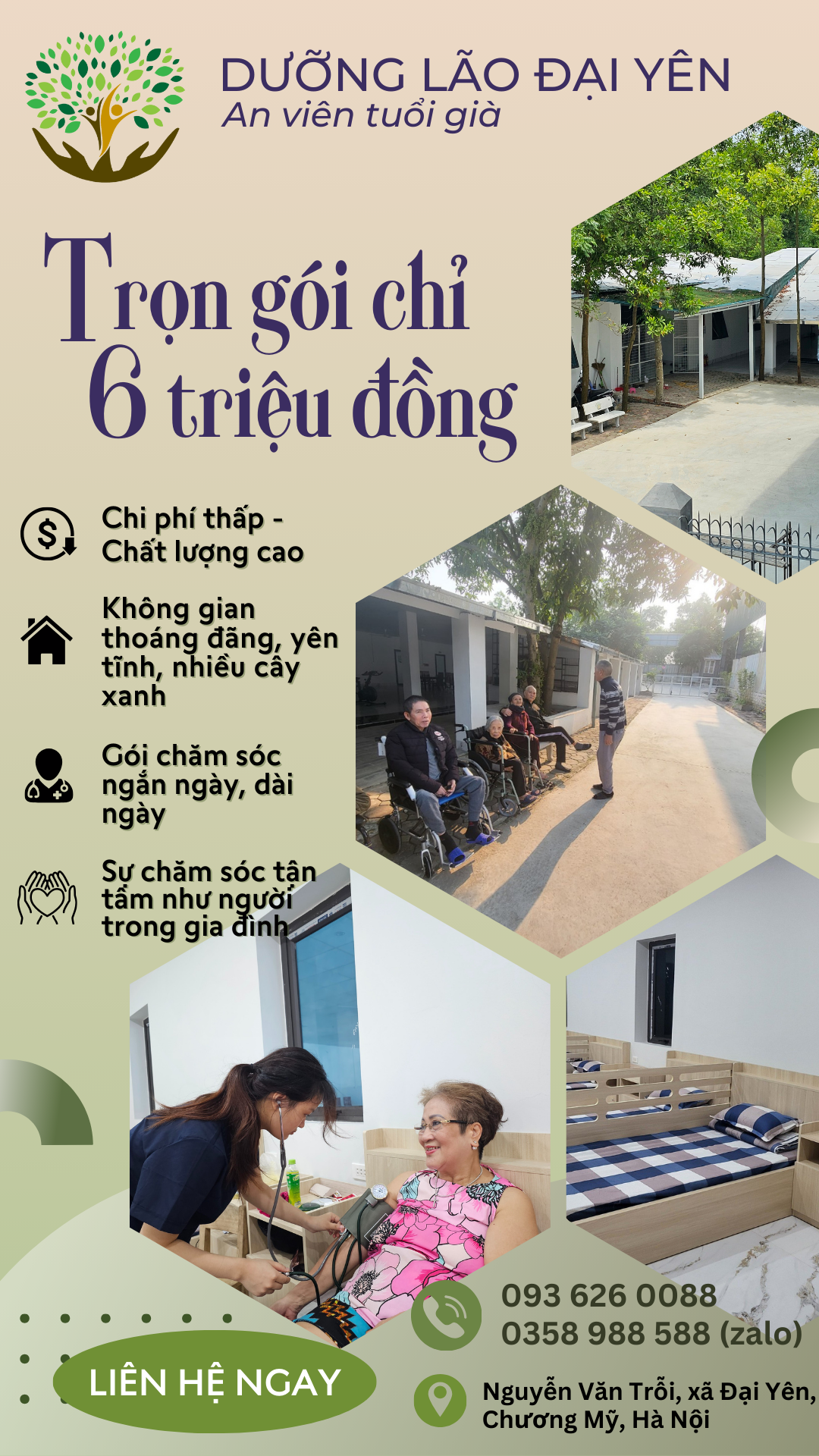 người cao tuổi, viện dưỡng lão, chăm sóc người già, chăm sóc tinh thần cho người cao tuổi. dưỡng lão Đại Yên